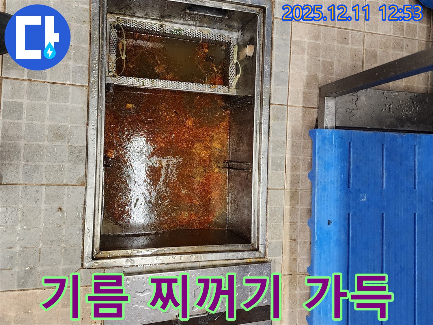 포천 영중면 누수 현장 - 기름 찌꺼기로 가득 찬 배수구의 심각한 상태