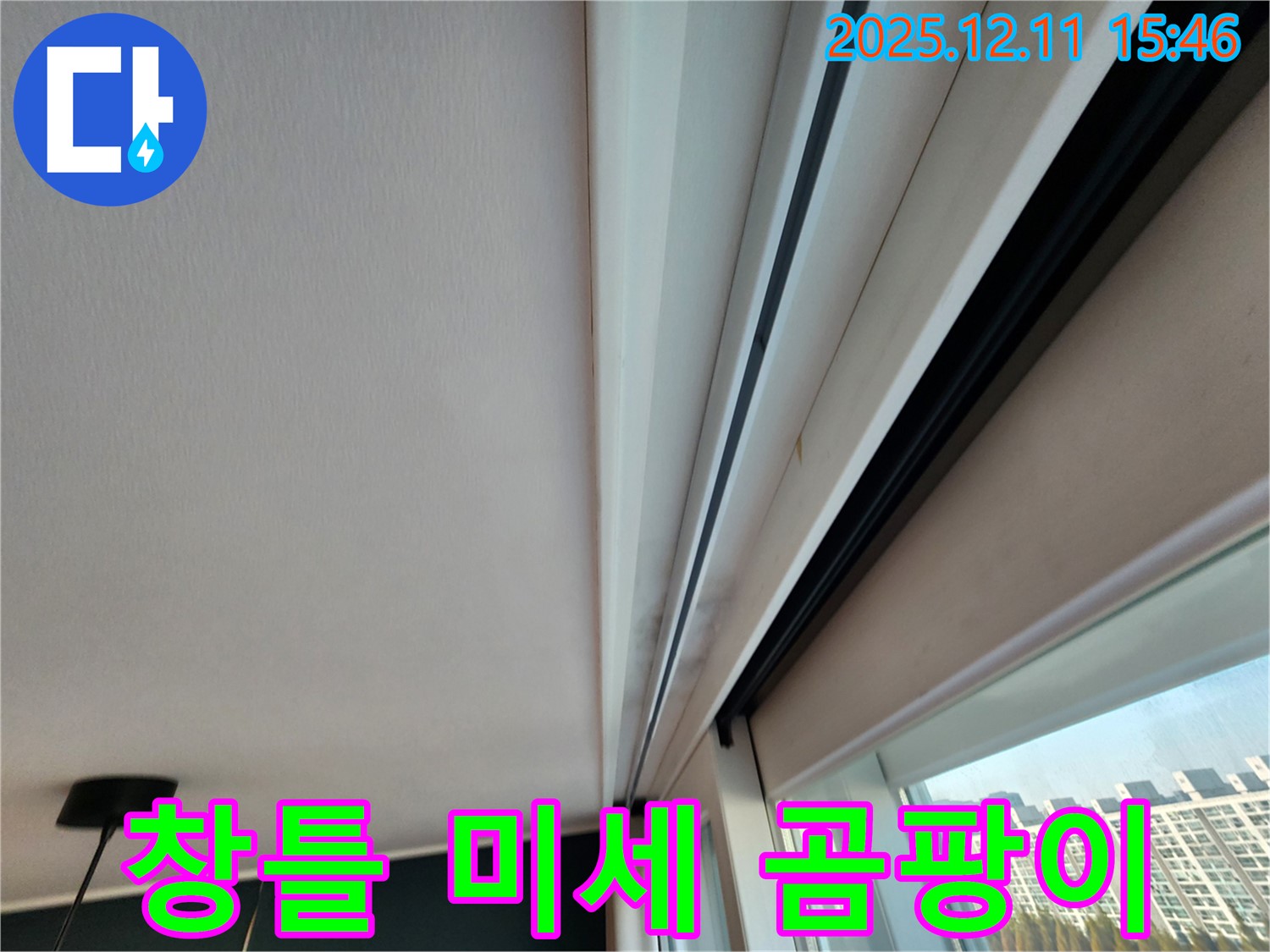 남궁리 창틀 상단 미세 곰팡이 - 초기 점검으로 누수 문제 해결
