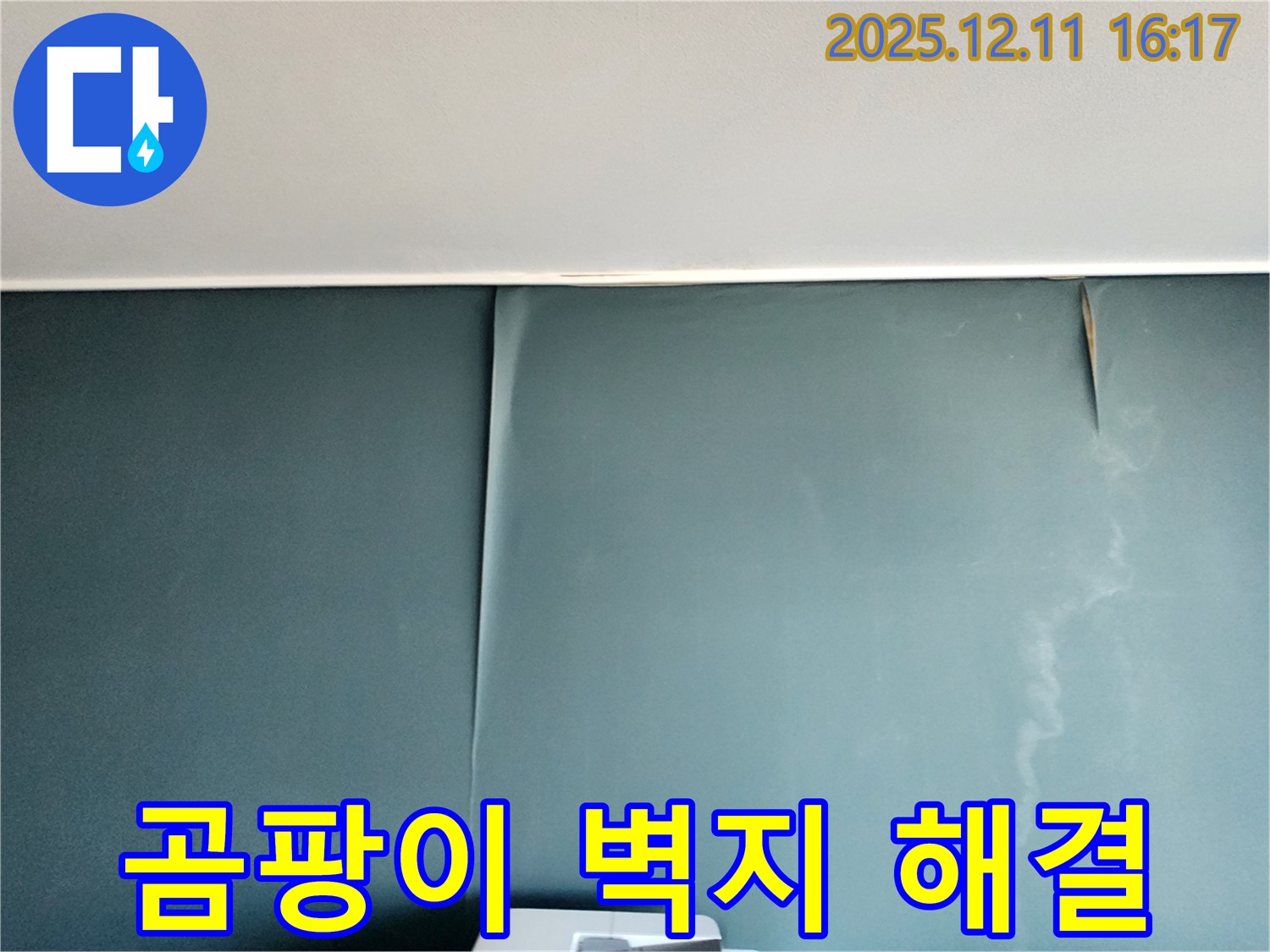 포천 남궁리 누수 - 곰팡이 핀 벽지 문제, 완벽하게 해결하고 쾌적한 환경 조성