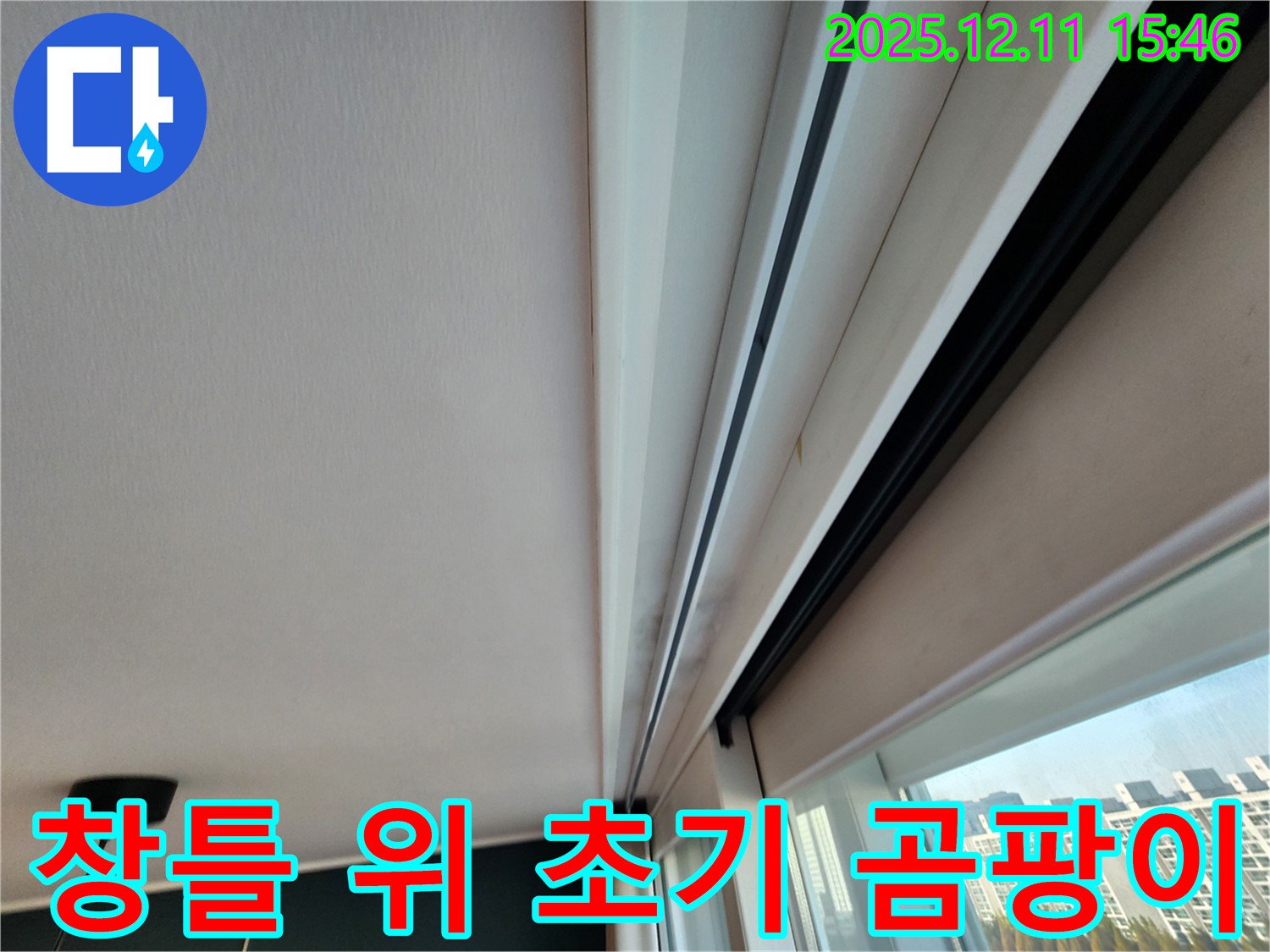 포천 영중면 건물 창틀 누수 - 위 초기 곰팡이 완벽 해결 자신