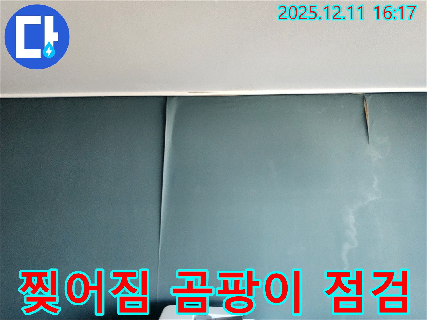 포천 영중면 누수 - 벽지 찢어짐과 곰팡이 얼룩 발견, 긴급 점검으로 초기 대응 및 건강 문제 예방