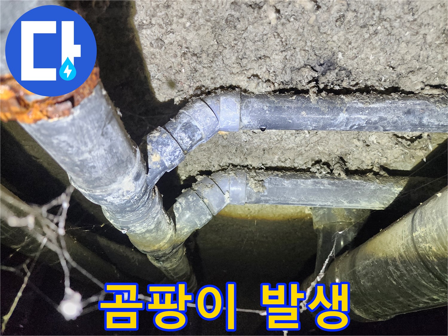 보문동 아남아파트 지하실 천장 배관 누수로 인한 곰팡이 발생 현장