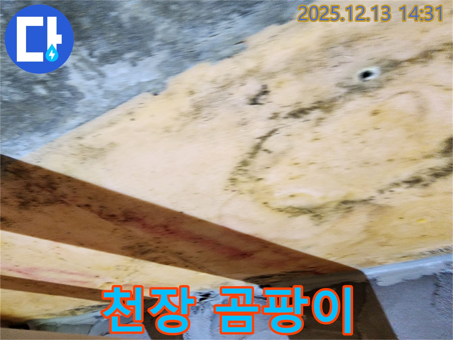 반포리체 아파트 천장 곰팡이 - 누수로 인한 습기로 곰팡이가 심하게 번식