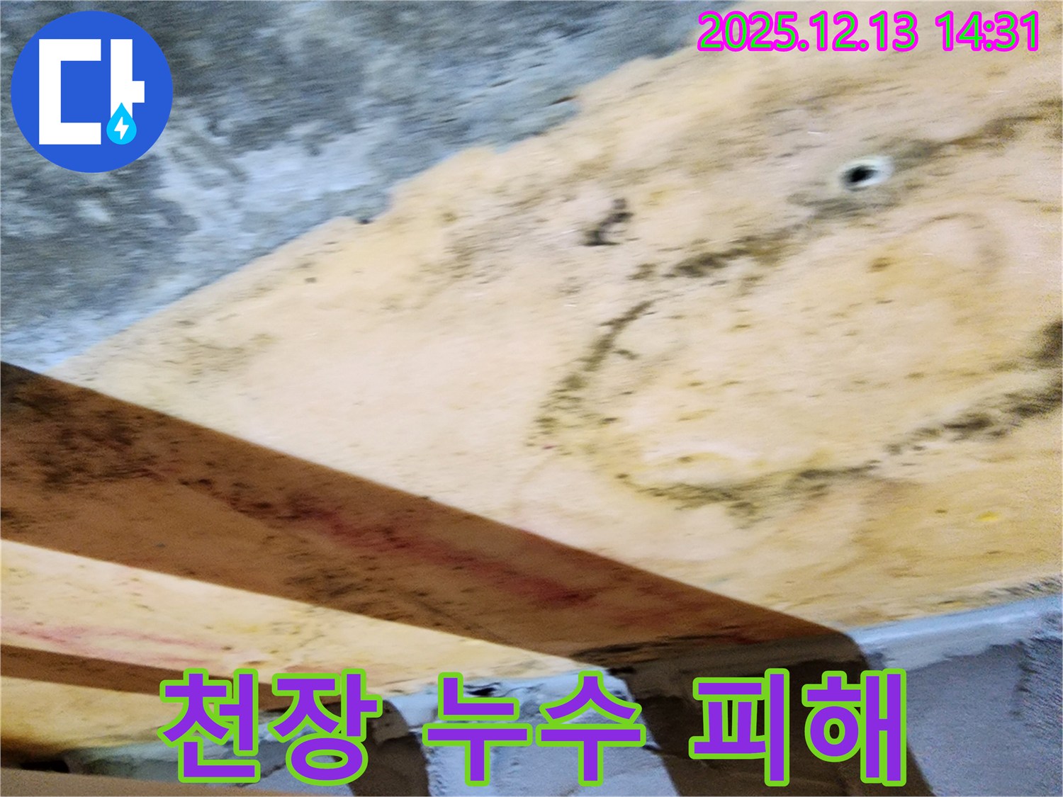 천장 누수로 인한 피해 - 곰팡이가 심하게 발생하고 천장이 젖어있는 모습.