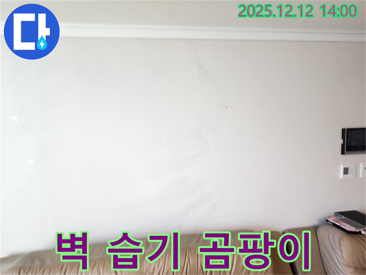 벽에 습기가 차고 곰팡이가 핀 모습 - 영중면 누수 현장에서 벽에 습기가 차고 곰팡이가 핀 모습입니다 - 누수 해결! 건강까지 위협합니다.