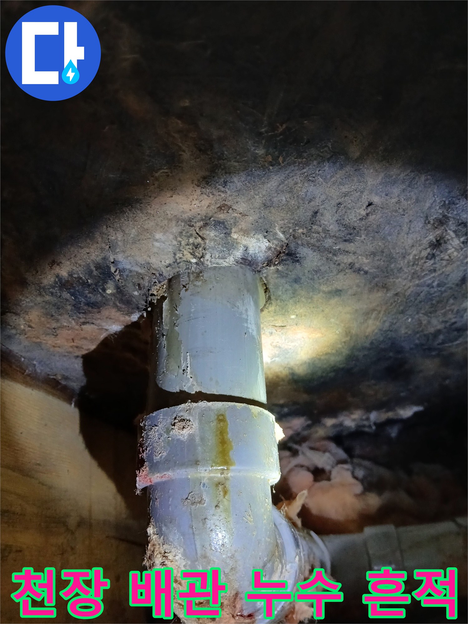 아랫집 화장실 천장에서 발견된 배관 누수-곰팡이와 물 얼룩이 심각합니다
