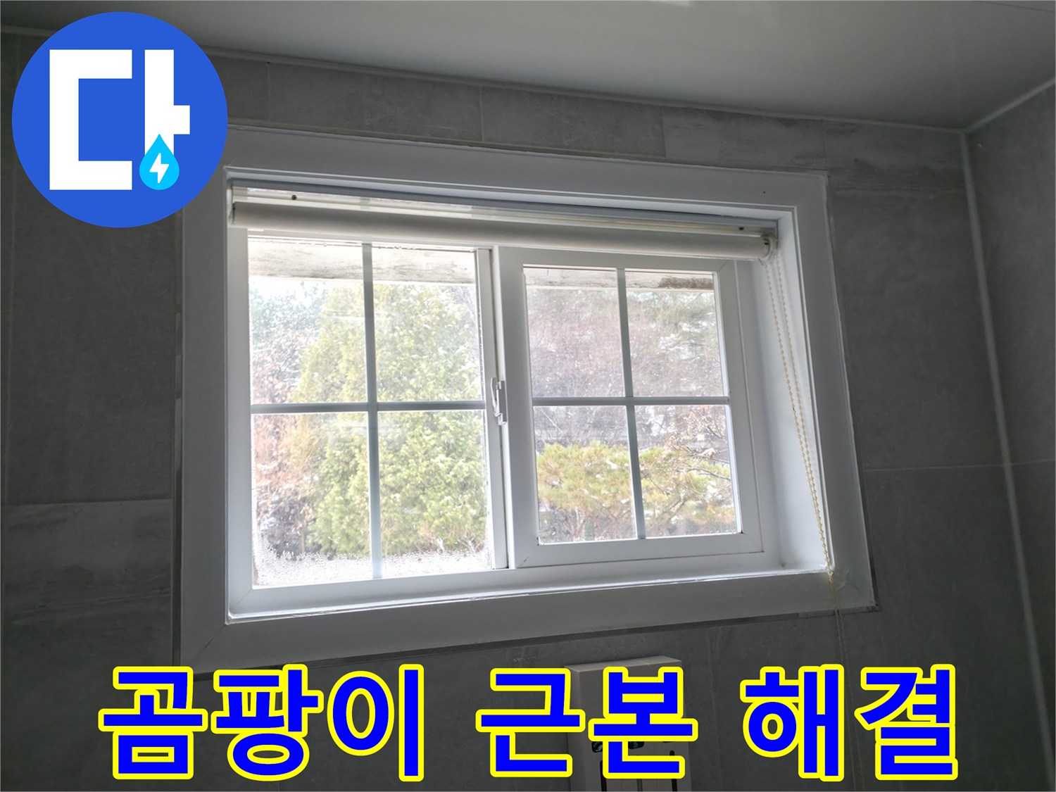 홍천군 서면 팔봉리 욕실 창문 - 곰팡이 문제의 근본적인 해결책 제시