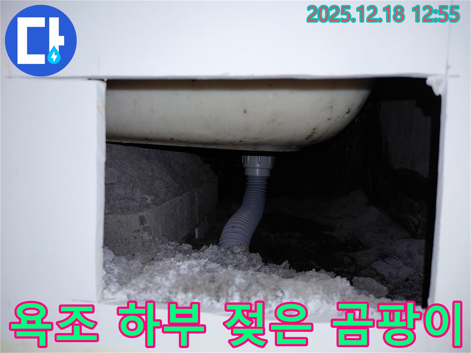 욕조 하부에서 젖은 냄새가 나고 곰팡이가 발생한 모습입니다 - 누수 가능성이 매우 높습니다.