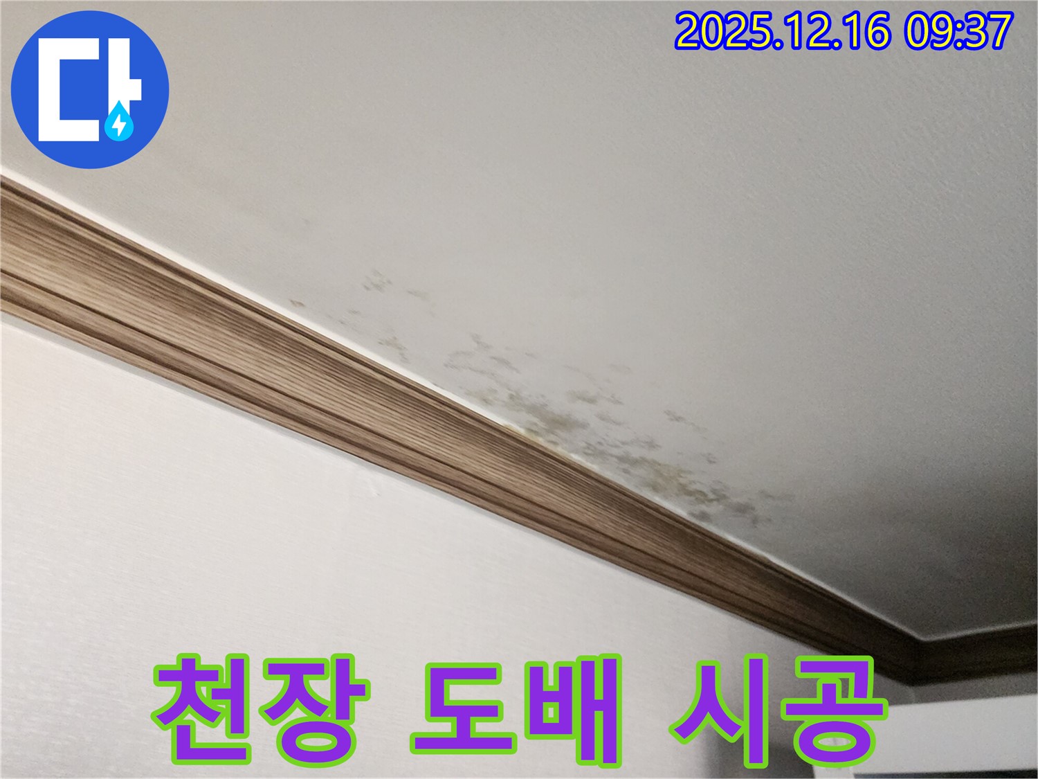 경기도 포천시 곰팡이 천장 - 누수 해결 후 완벽 도배 시공!