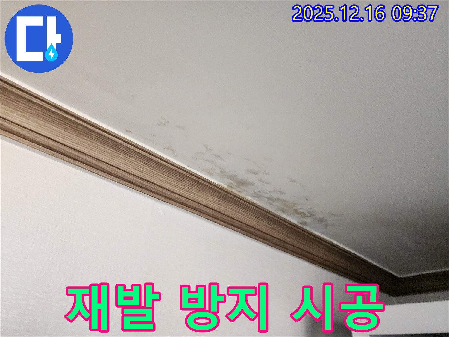 경기도 포천시 곰팡이 핀 천장 - 재발 방지 시공으로 깨끗하게!