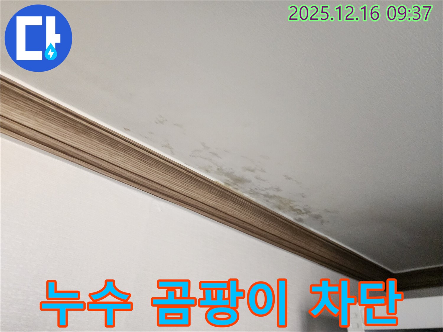 경기도 포천시 누수 - 곰팡이 핀 천장, 누수 해결 및 곰팡이 제거, 완벽 차단 솔루션 제공