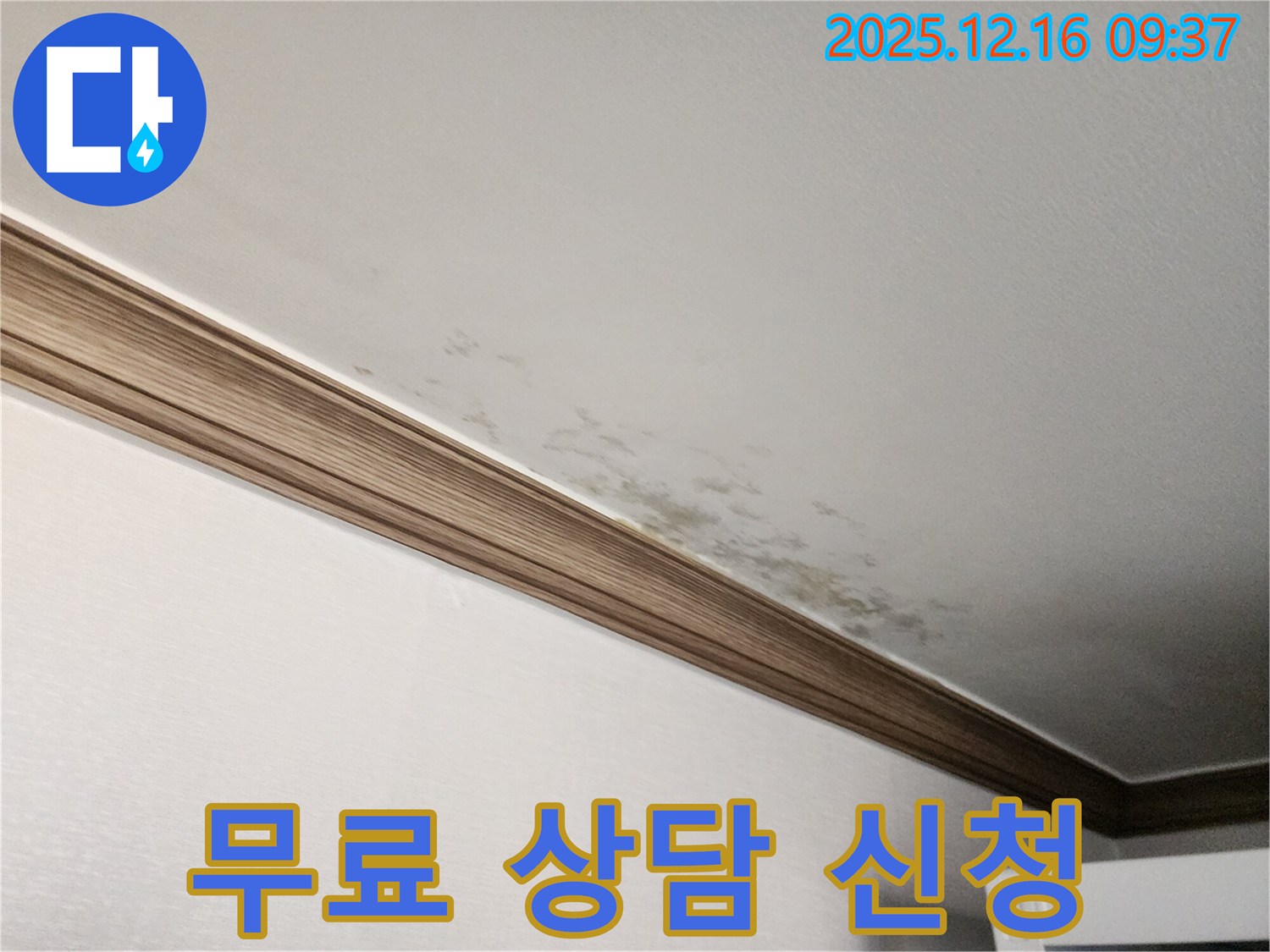 경기도 포천시 영북면 누수 - 곰팡이 핀 천장, 누수 해결과 곰팡이 제거, 지금 바로 무료 상담 신청하세요