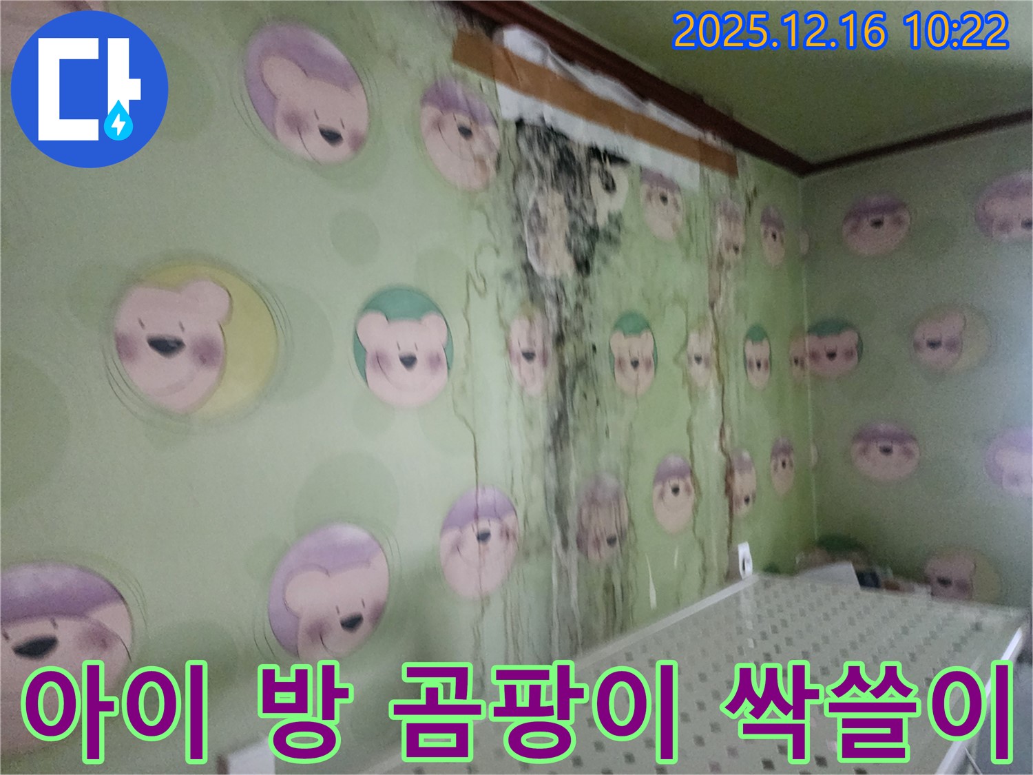 경기도 포천시 영북면 운천2리 아이 방 벽면의 곰팡이 - 곰팡이 싹쓸이 작전, 쾌적한 공간으로 변신