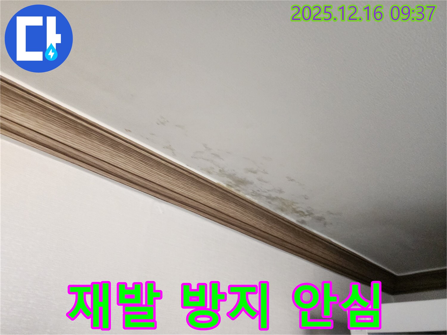경기도 포천시 영북면 운천리 곰팡이 천장과 몰딩 - 확실한 재발 방지 시공으로 안심