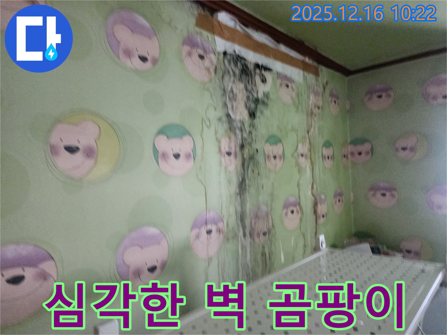 경기도 포천시 영북면 운천리 주택 벽면의 심각한 곰팡이 발생 - 누수 해결 및 곰팡이 제거로 걱정 해결