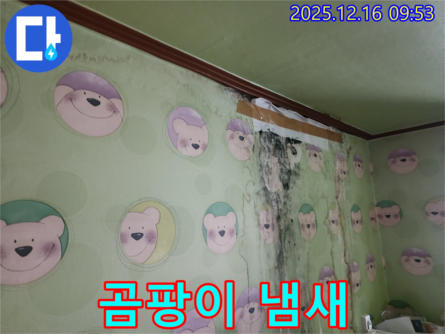 곰팡이로 인해 불쾌한 냄새가 나는 벽 - 곰팡이 냄새 제거와 함께 쾌적한 공간으로 만들어 드립니다.
