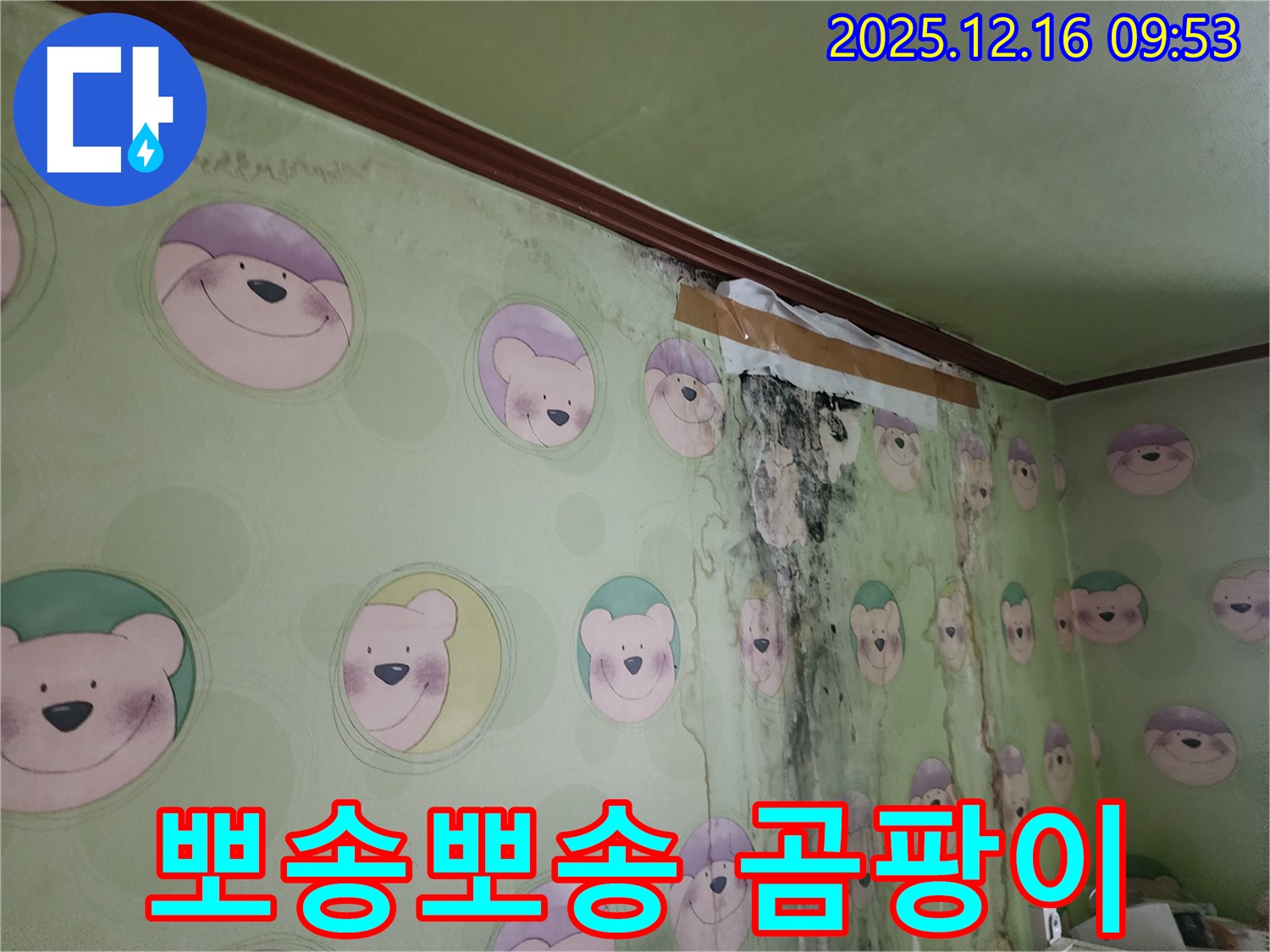 아이 방 누수 곰팡이 문제를 해결하고 깨끗하고 뽀송뽀송하게 청소된 모습 - 곰팡이 걱정 없이 쾌적하게 생활하세요.