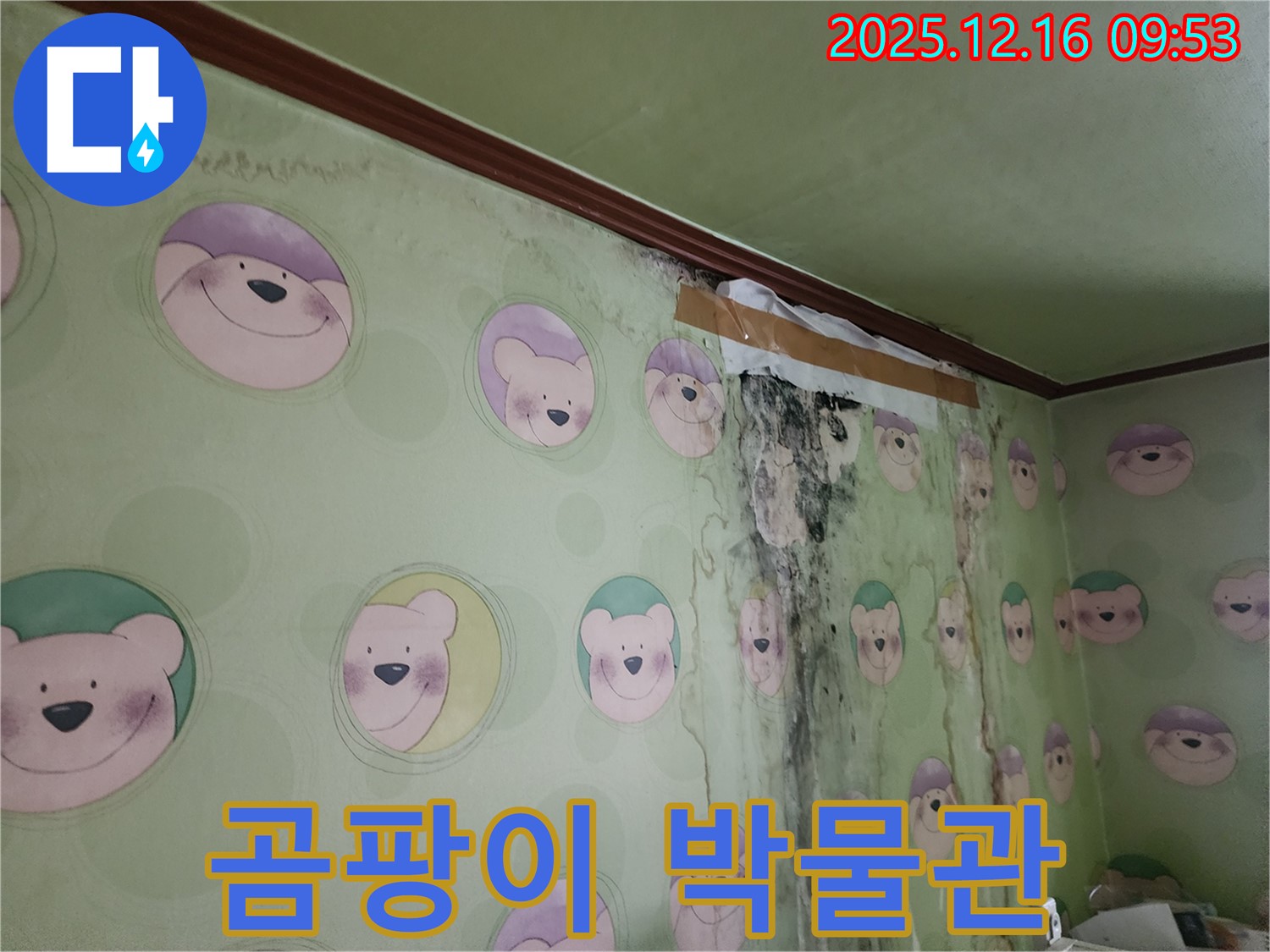 아이 방이 곰팡이로 가득 차 곰팡이 박물관처럼 보이는 모습 - 곰팡이 제거와 함께 깨끗하고 안전한 공간을 만들어 드립니다.