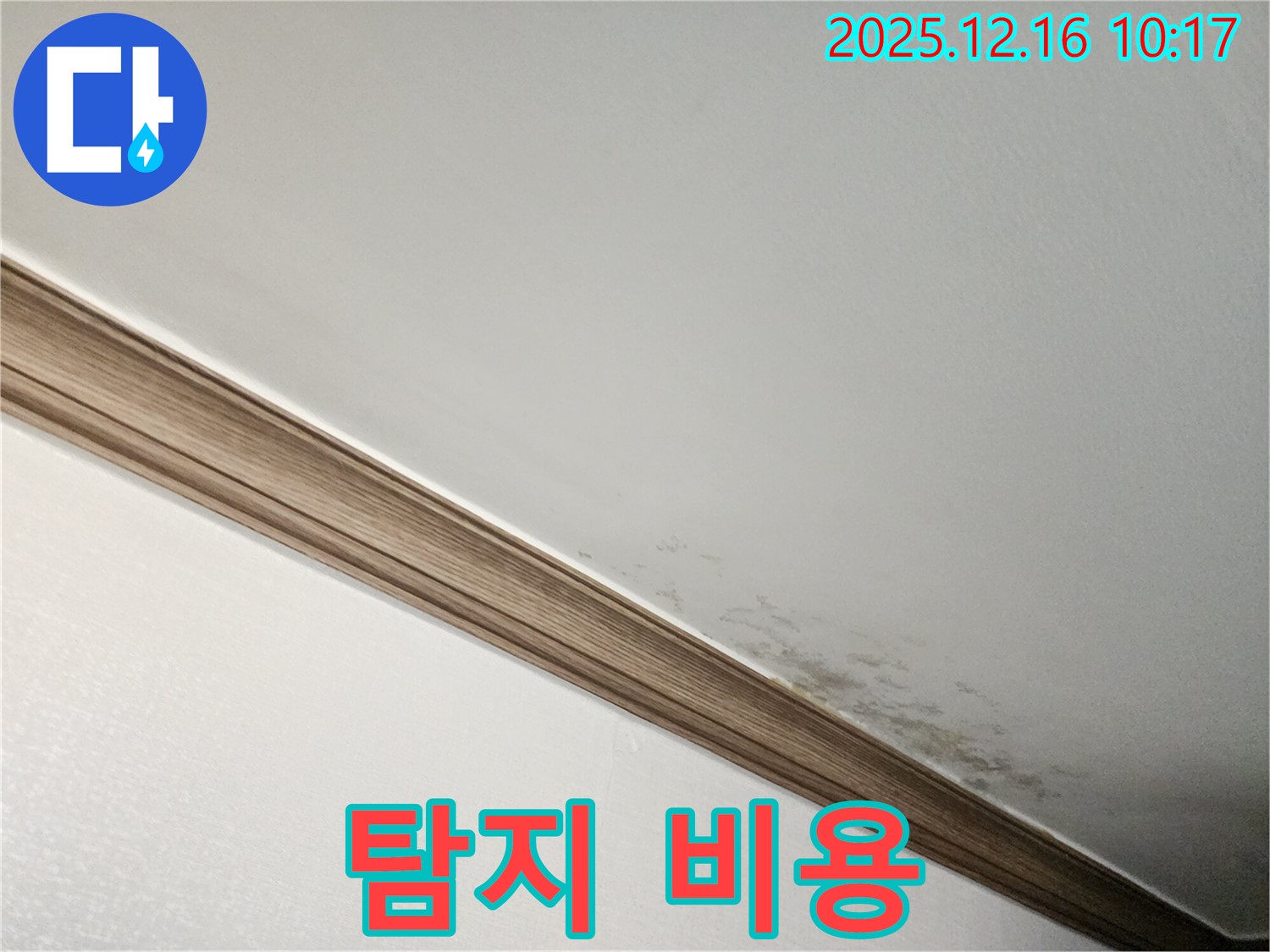 포천시 영북면 운천리 곰팡이 천장 - 누수 탐지 비용 안내