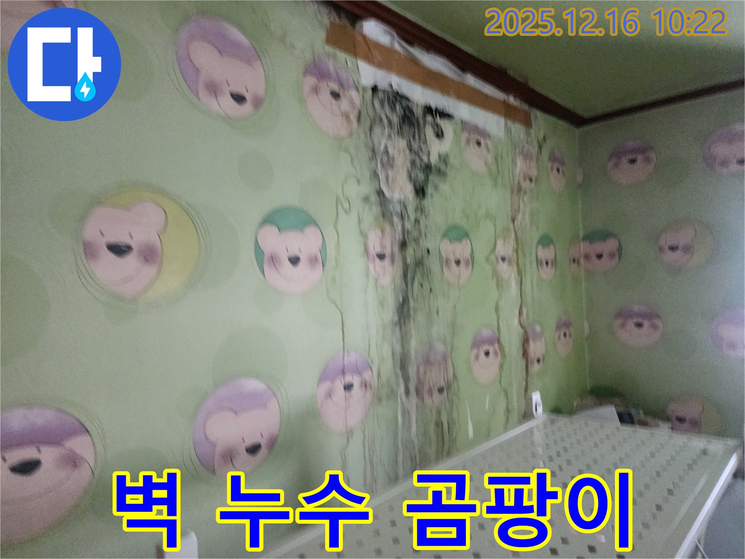 포천시 영북면 운천리 주택 벽면의 누수와 곰팡이 문제 - 전문 업체의 완벽한 케어 서비스