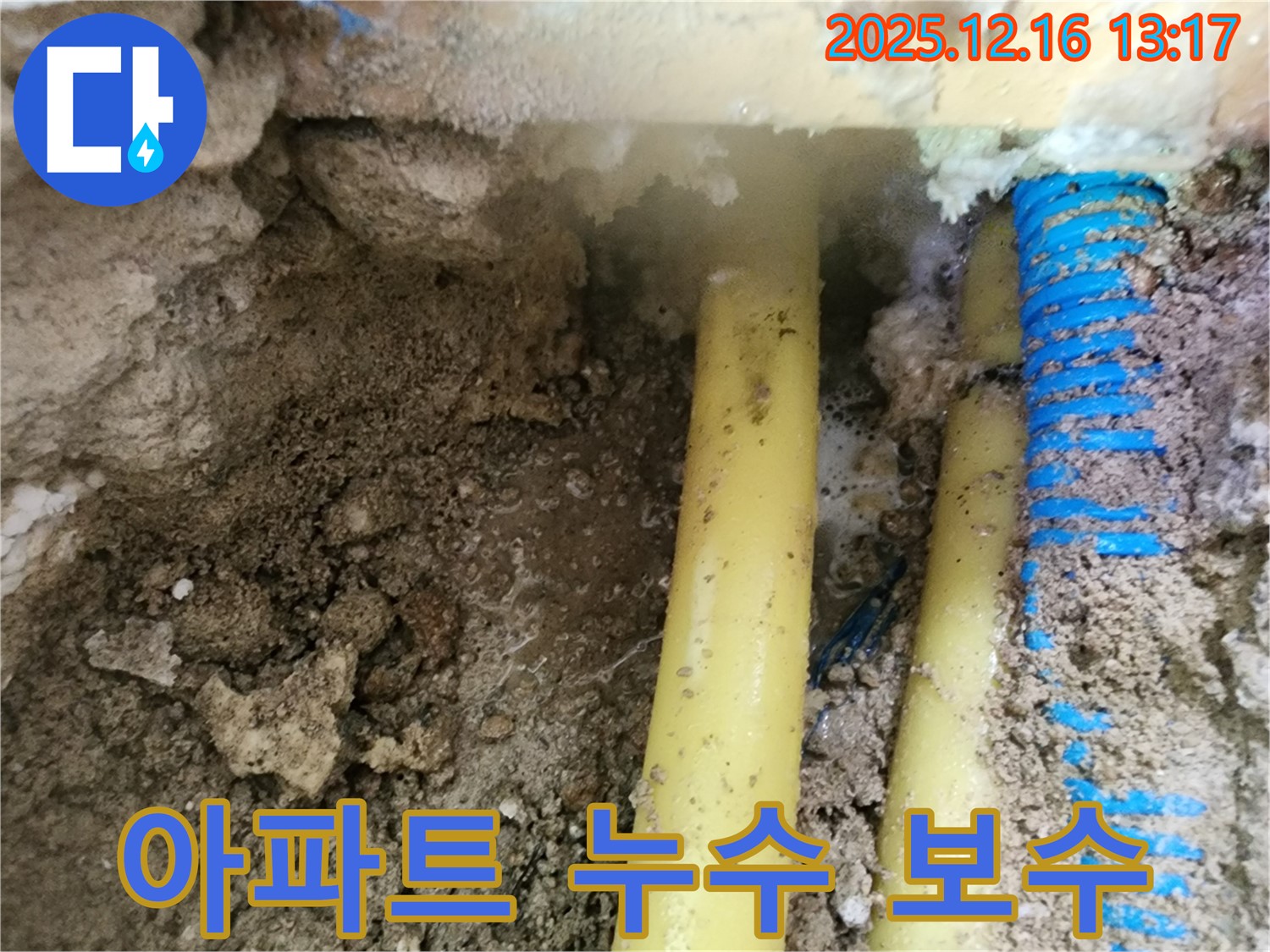포천 영북면 누수 현장 - 아파트에서 발생한 누수 원인을 정확히 파악하고 완벽하게 보수
