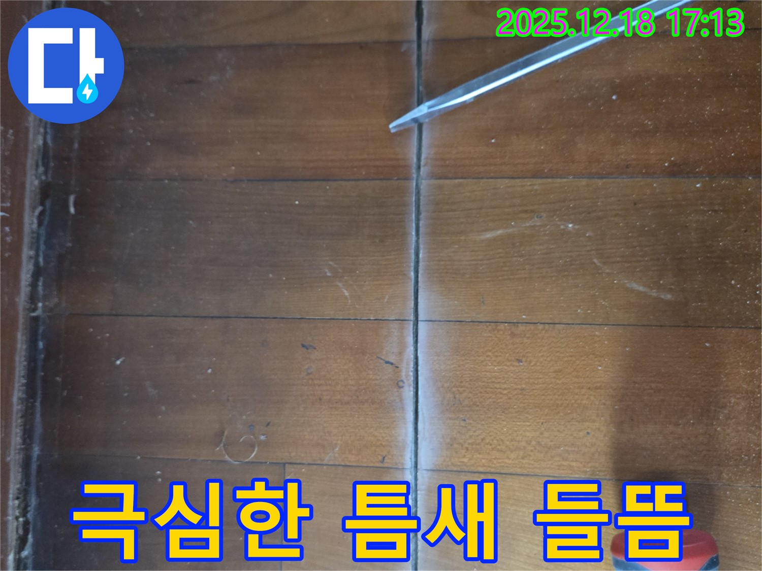 마루 틈새 극심한 들뜸 - 틈새 주변 마루가 심하게 붕 떠 있어 매우 불안정하고 파손 위험이 있는 상태 - 접착력 상실