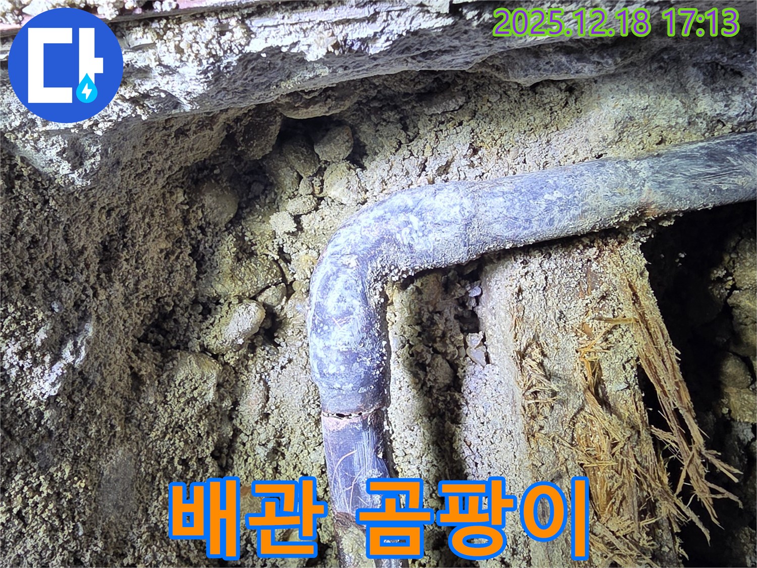 시흥 신천동 - 배관 주변에 곰팡이가 발생했습니다 - 습기 때문에 생긴 문제입니다.