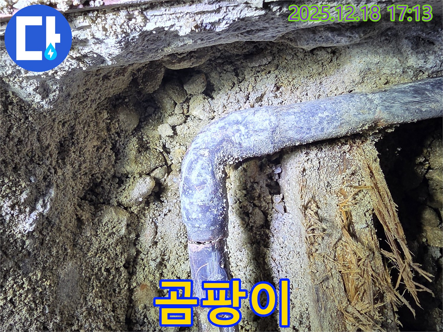 시흥 신천동 - 배관 주변에 곰팡이가 피어있습니다 - 습한 환경이 지속되고 있음을 나타냅니다.