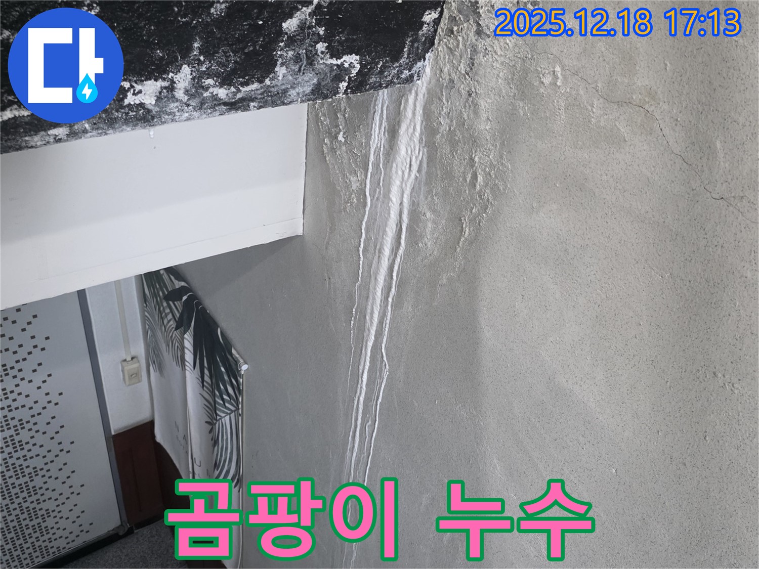 시흥 신천동 오성빌딩 누수 - 곰팡이 핀 천장 사진 - 누수와 곰팡이
