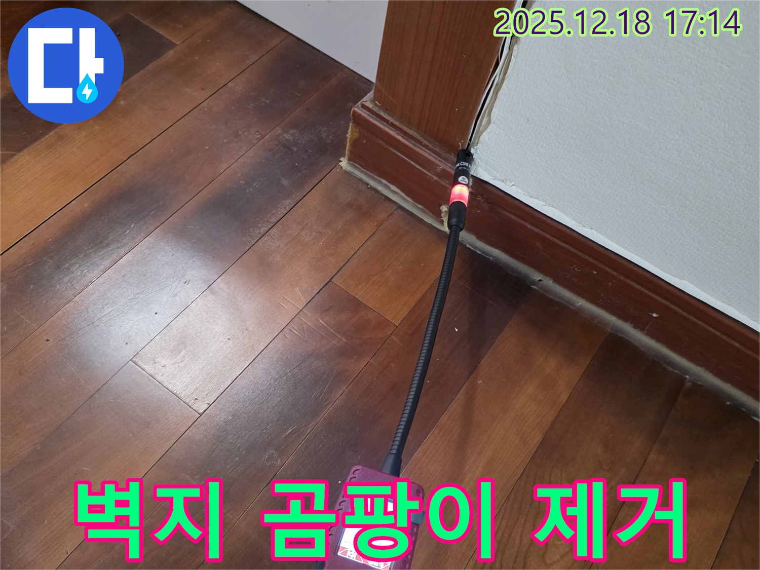 신천동 누수 - 몰딩 주변 벽지 곰팡이 냄새를 제거하는 시흥 누수탐지 전문가의 완벽 시공