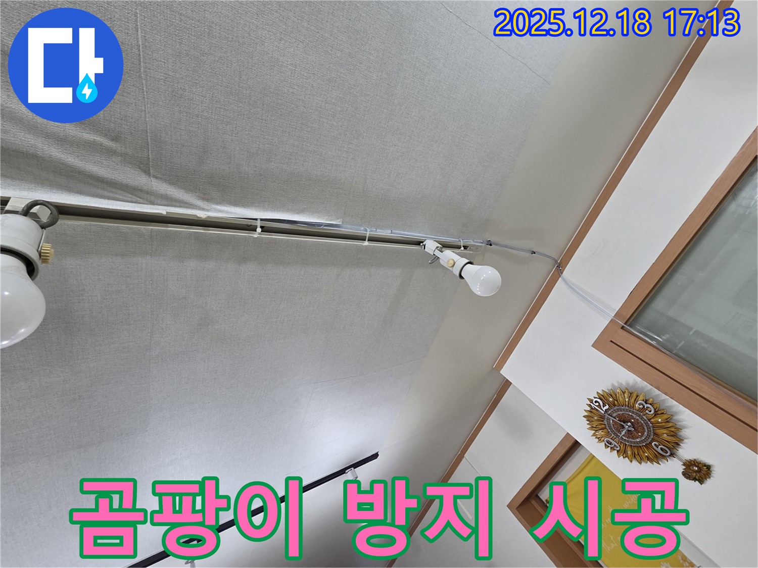 신천동 누수 - 천장 합판 누수, 곰팡이 발생을 방지하는 시공 과정