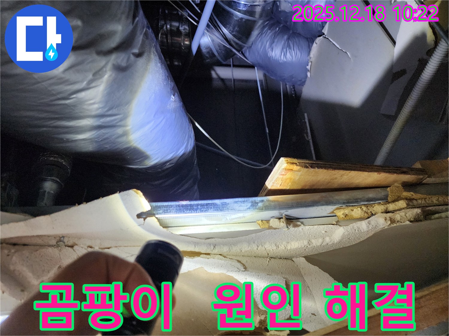 영북면 천장 속 곰팡이 - 누수 원인 해결로 쾌적한 환경 조성
