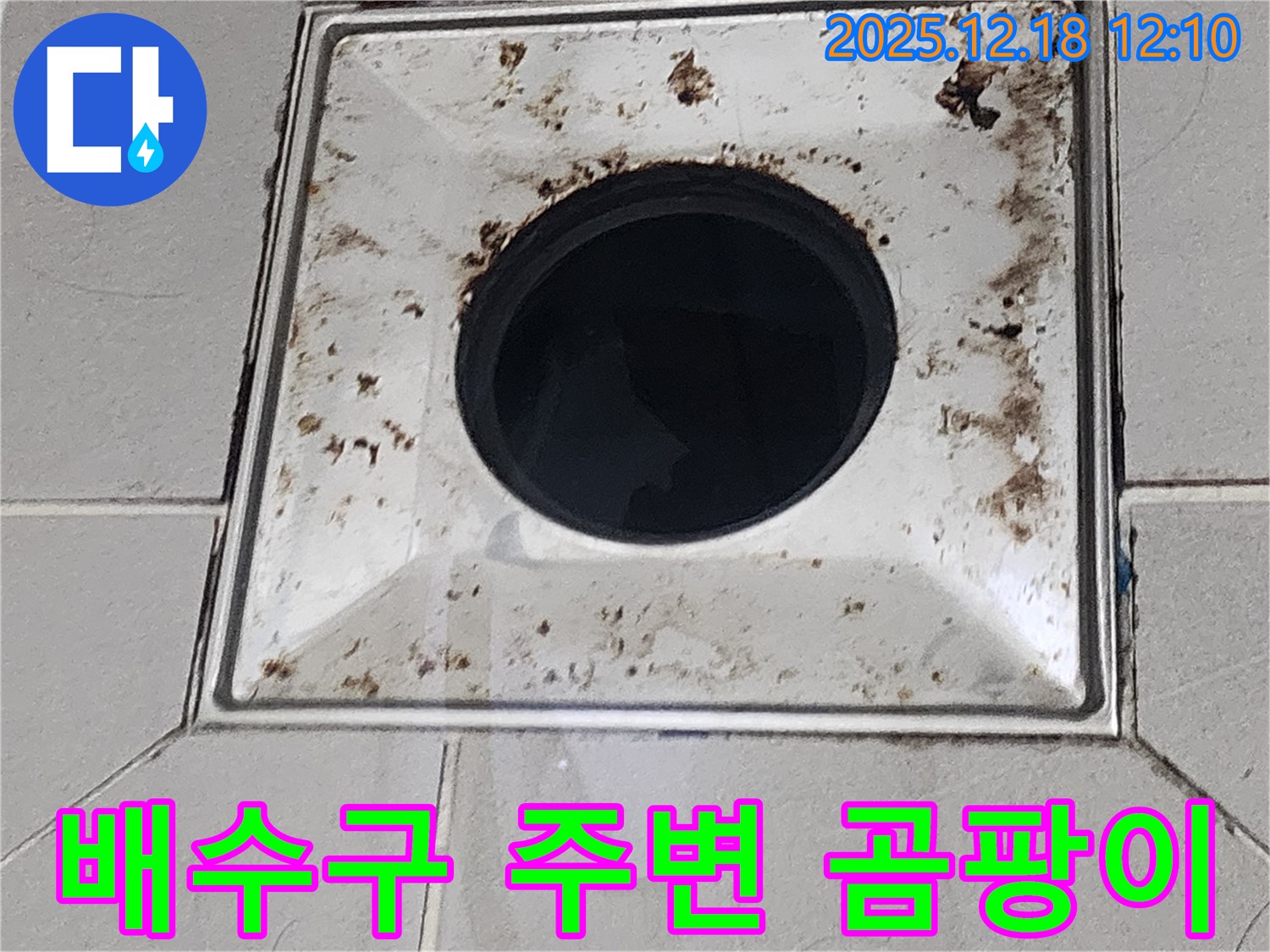 욕실 배수구 주변 곰팡이 - 포천시 영북면 가채리 누수