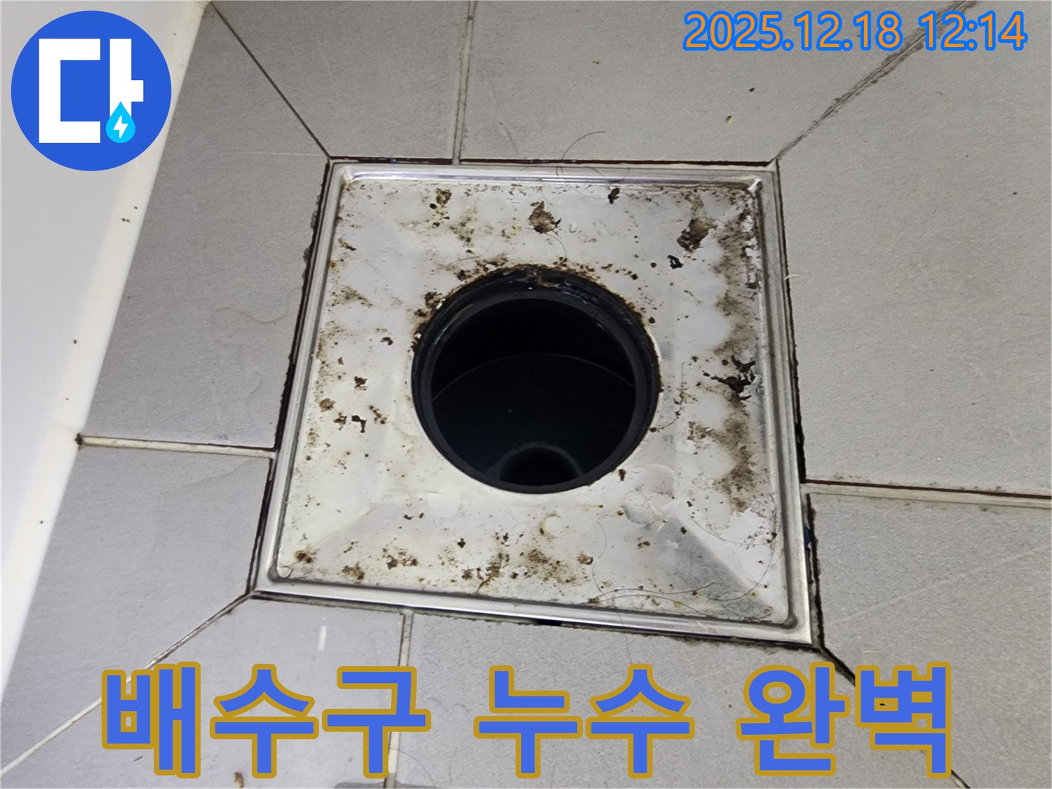포천 영북면 가채리 욕실 배수구 누수 - 곰팡이 제거 후 완벽하게 해결하는 누수 전문 업체, 꼼꼼한 시공 약속