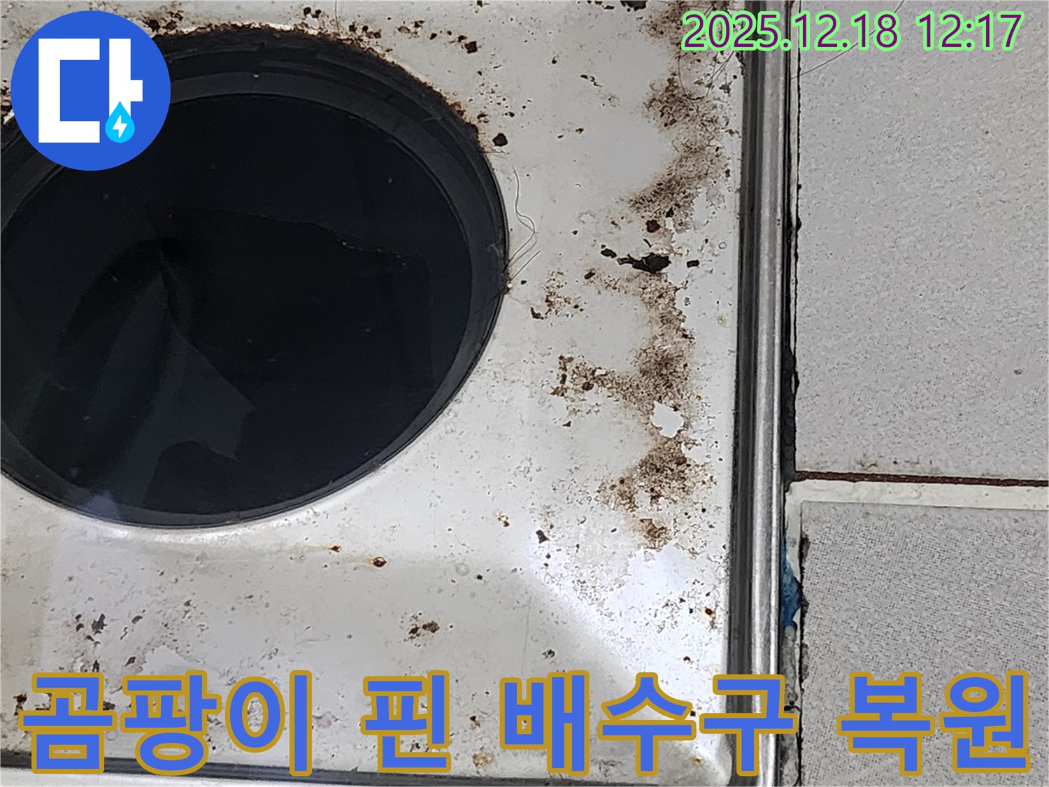 포천시 영북면 가채리 욕실 곰팡이 핀 배수구 주변 완벽 복원 - 새것처럼 깨끗하게