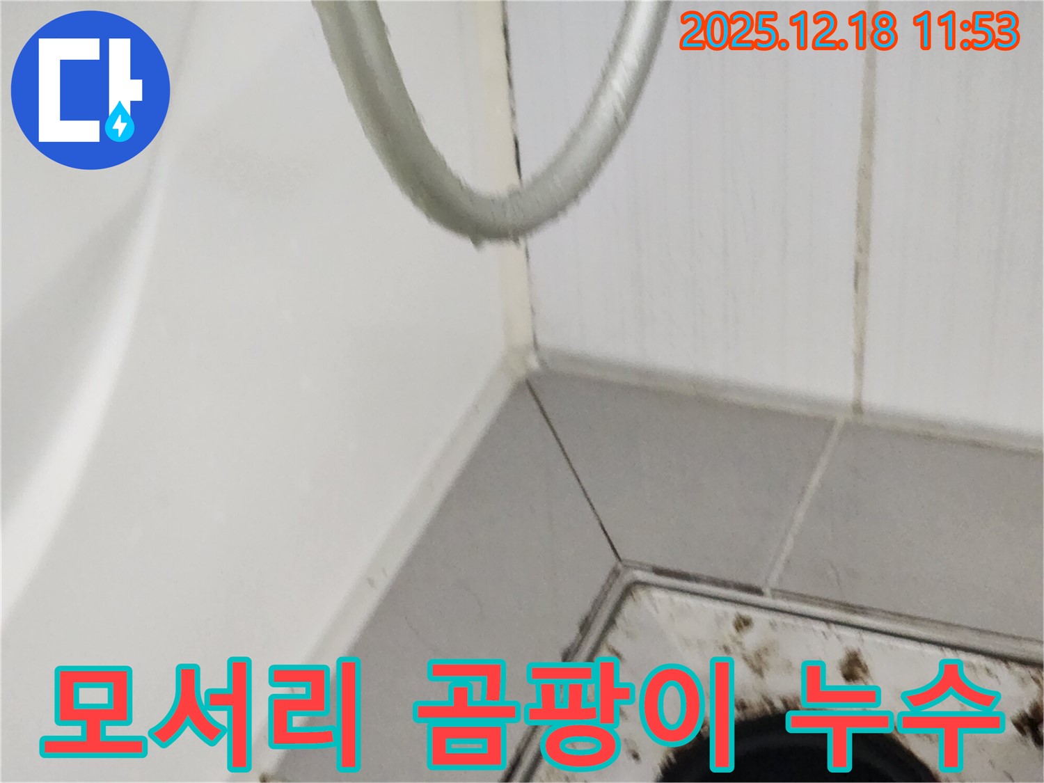 포천시 영북면 가채리 욕실 모서리 곰팡이 - 실리콘 손상으로 인한 누수 가능성을 보여줍니다.