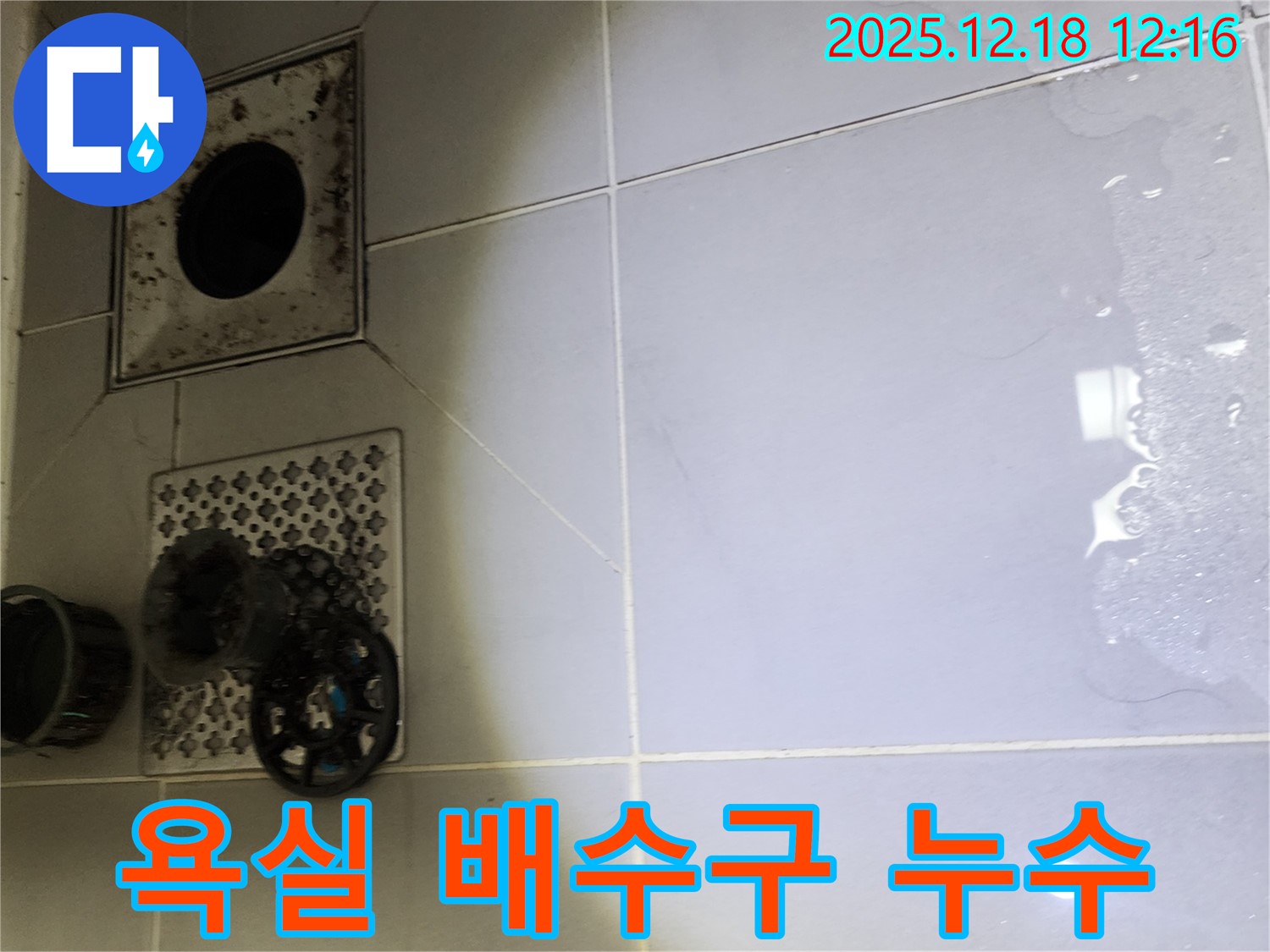 포천시 영북면 가채리 욕실 배수구 주변 누수 발생 - 전문 업체가 꼼꼼한 점검을 통해 누수 원인을 파악하고 완벽하게 해결합니다.