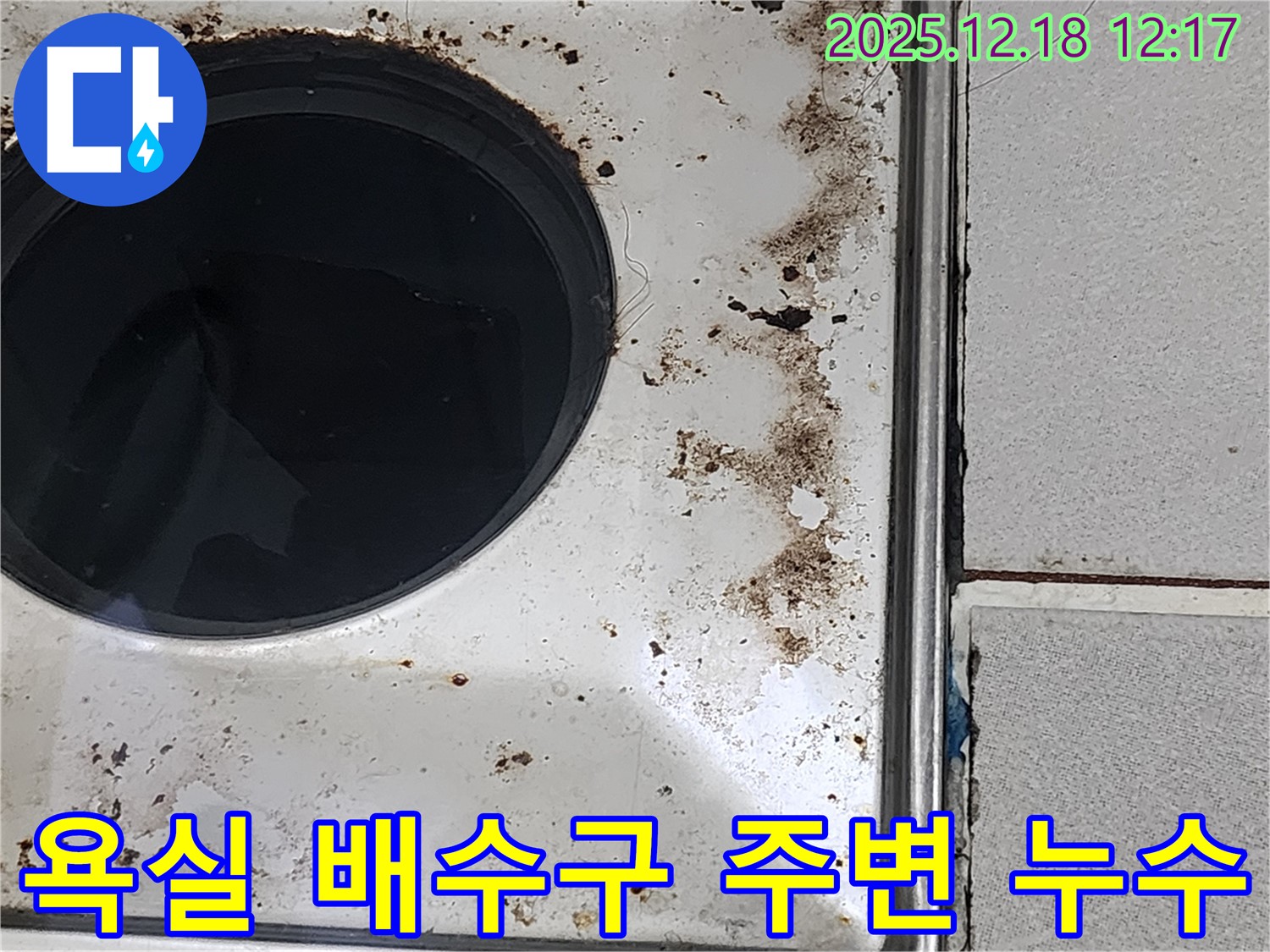 포천시 영북면 가채리 욕실 배수구 주변 누수 - 배수구 주변의 오염과 누수 흔적을 보여주는 이미지