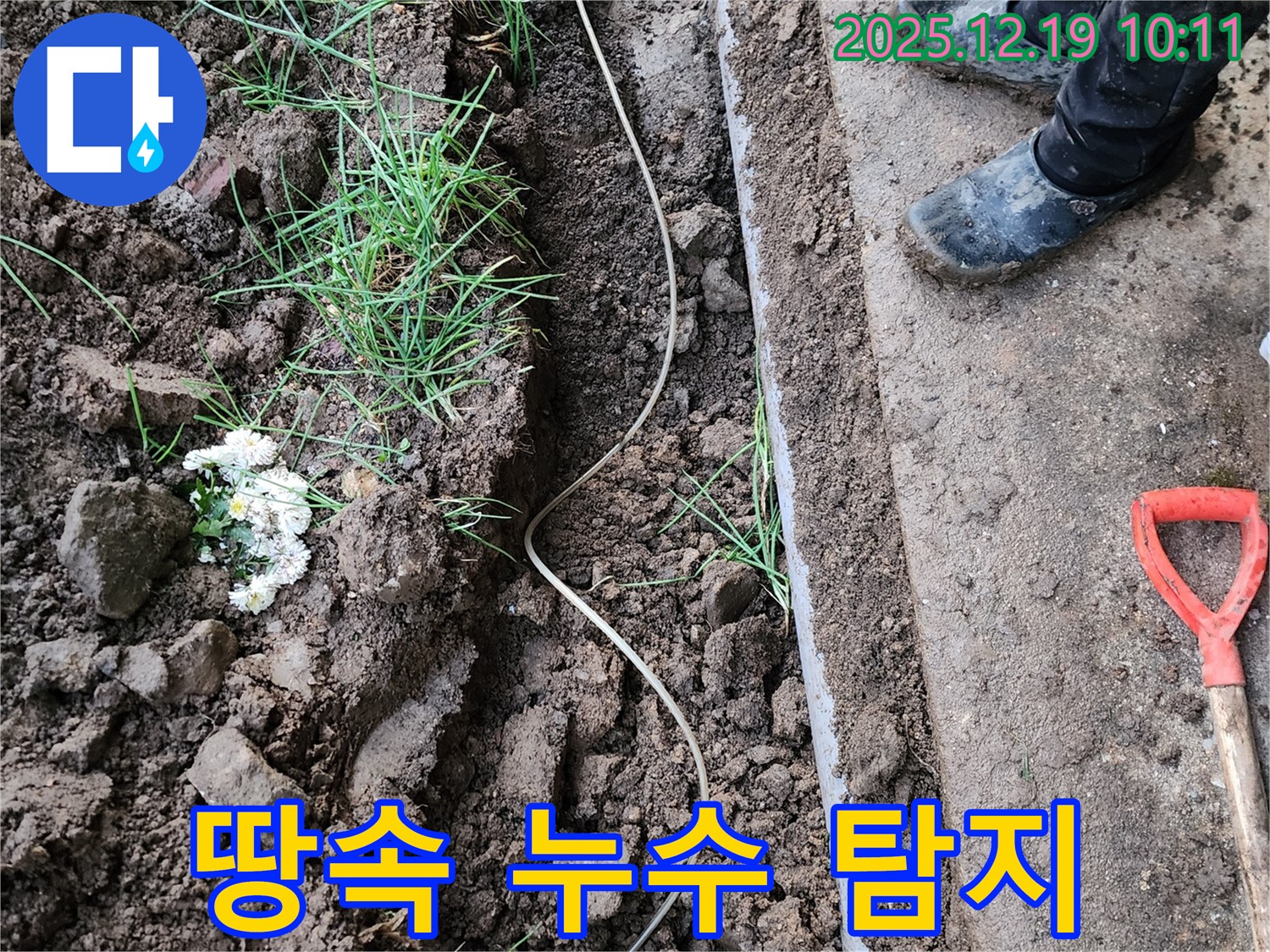 땅속 누수 탐지 작업 - 꼼꼼한 누수 진단과 정확한 누수 위치 파악으로 문제 해결