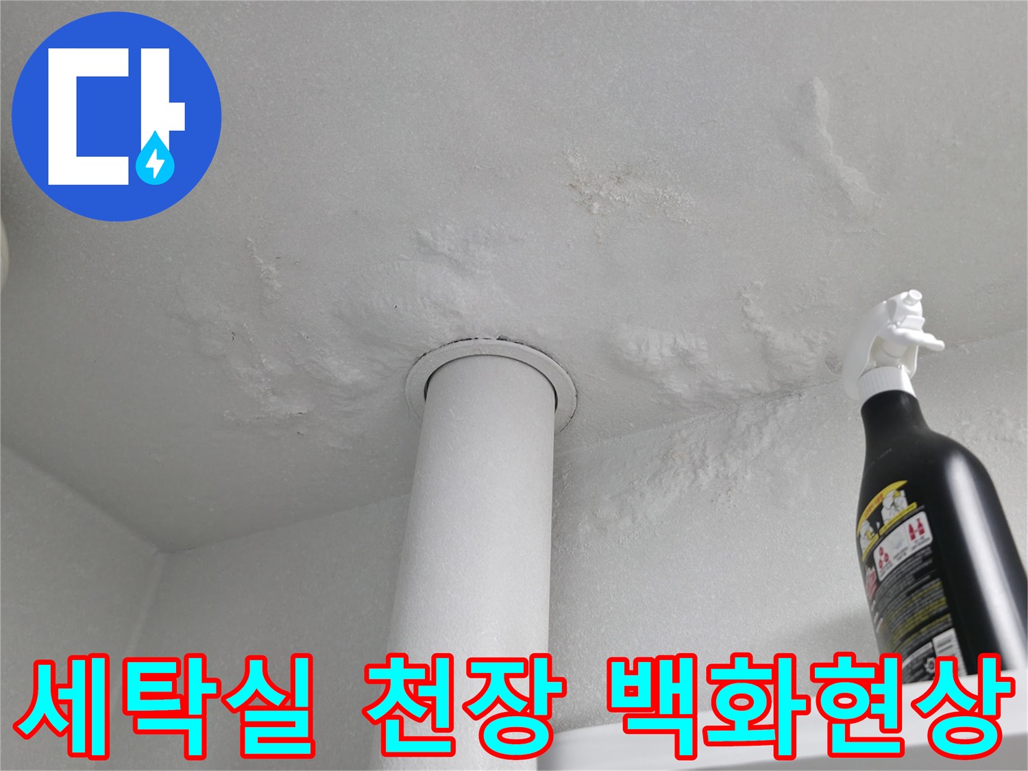 성동구-세탁실-천장-배관-주변의-하얀-백화현상-및-물얼룩-사진