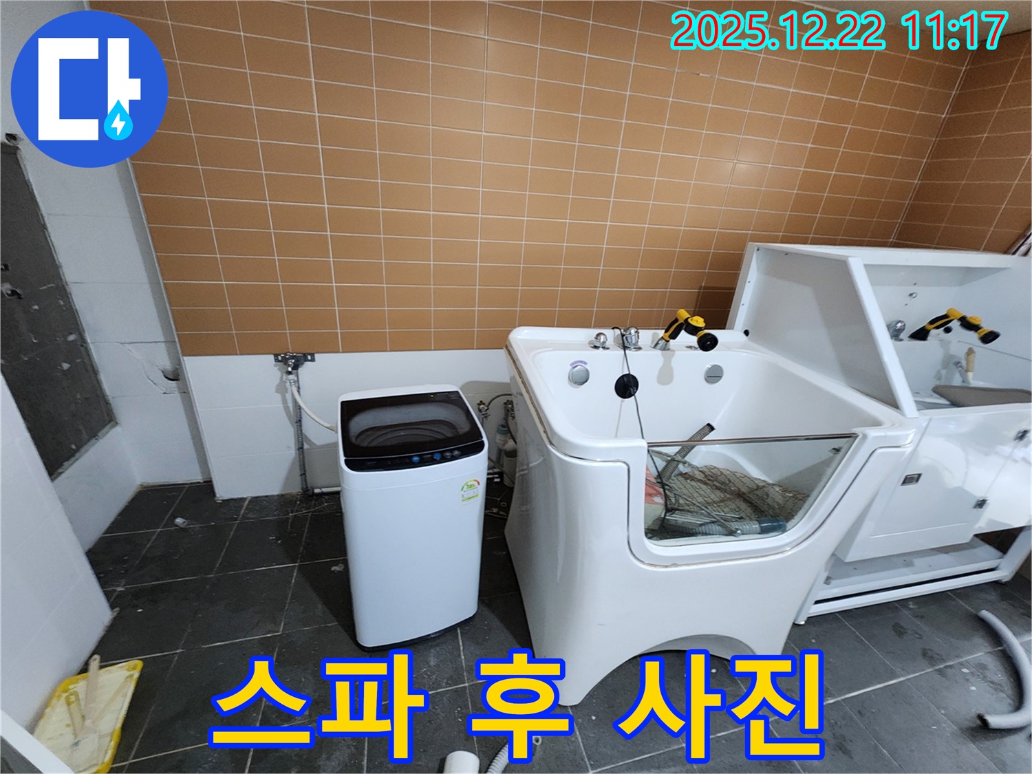노원구 월계2동 세탁기 옆 애견 욕조 누수 - 펫팸족을 위한 특별 맞춤, 댕댕이 스파 후 귀여운 사진 촬영 서비스를 제공합니다.