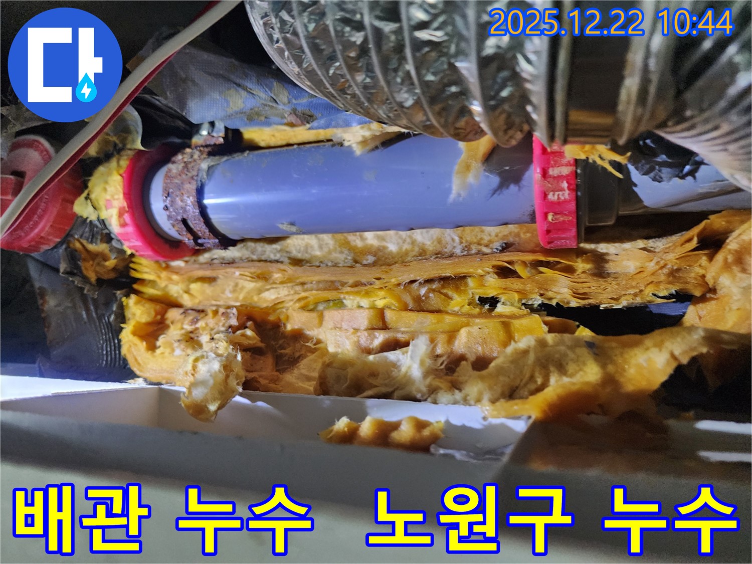 노원구 월계동에서 발생한 배관 누수 - 누수탐지 전문 업체가 정확한 진단과 신속한 공사로 해결합니다.