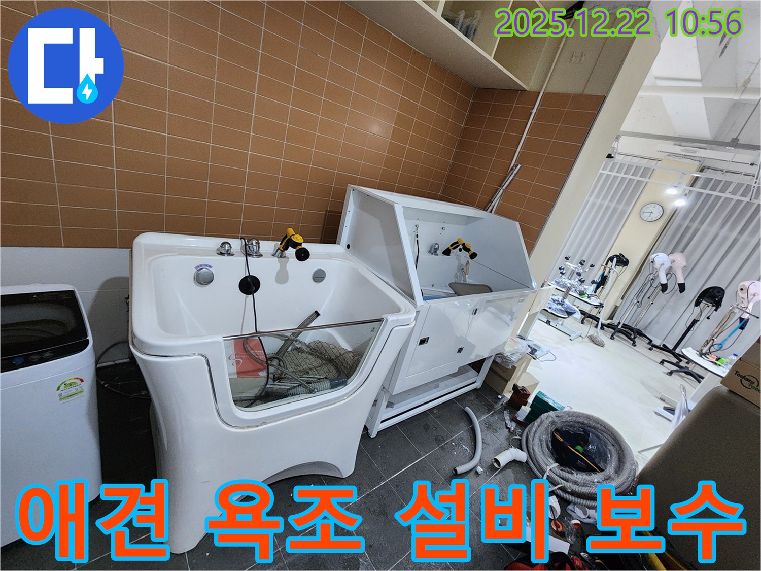 월계동에서 애견 욕조 설비 보수를 통해 누수 문제를 완벽하게 해결했습니다 - 오랜 경험과 노하우!