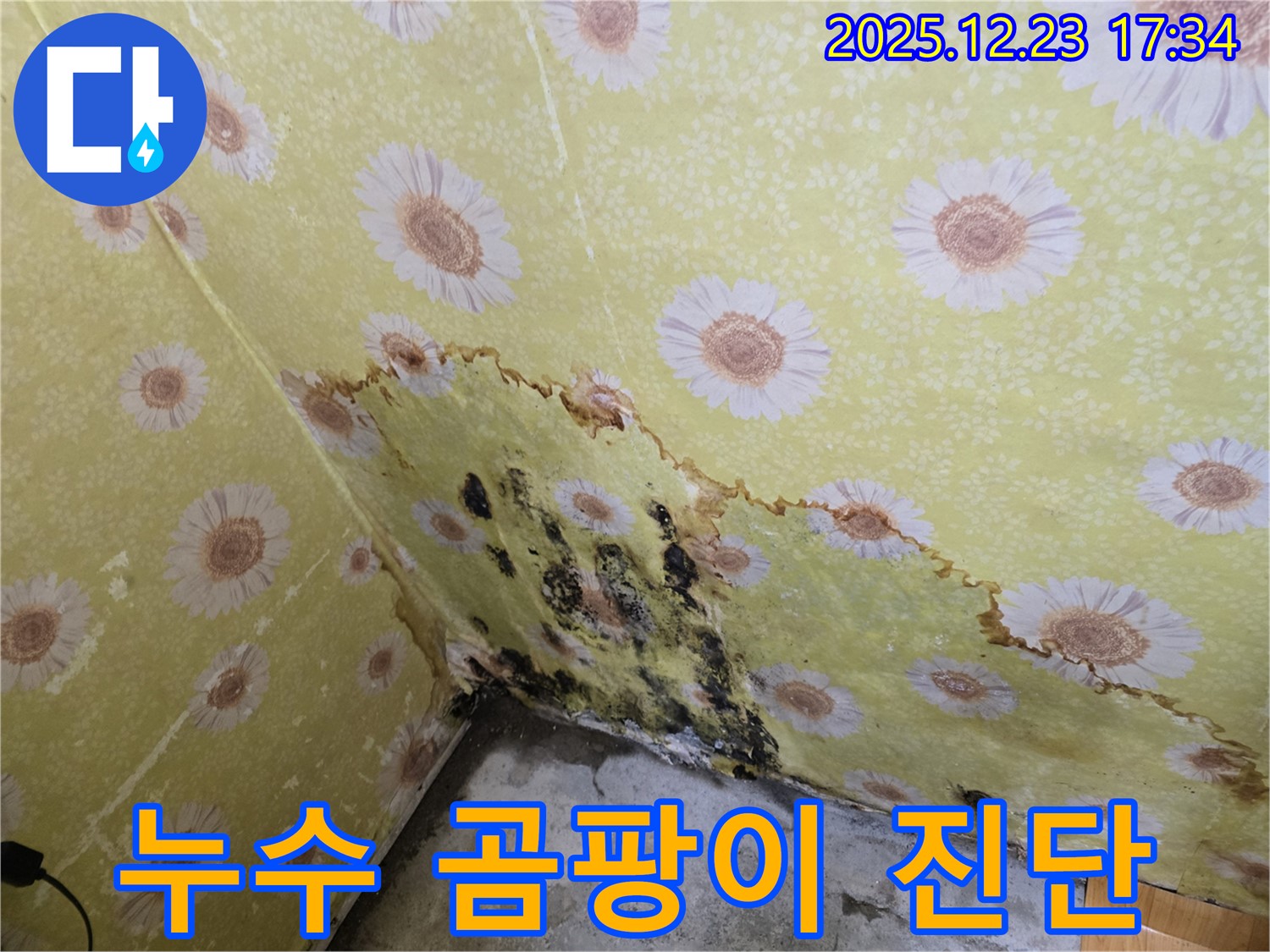 동두천 생연동 누수 및 곰팡이 - 꼼꼼한 누수 진단으로 문제 해결