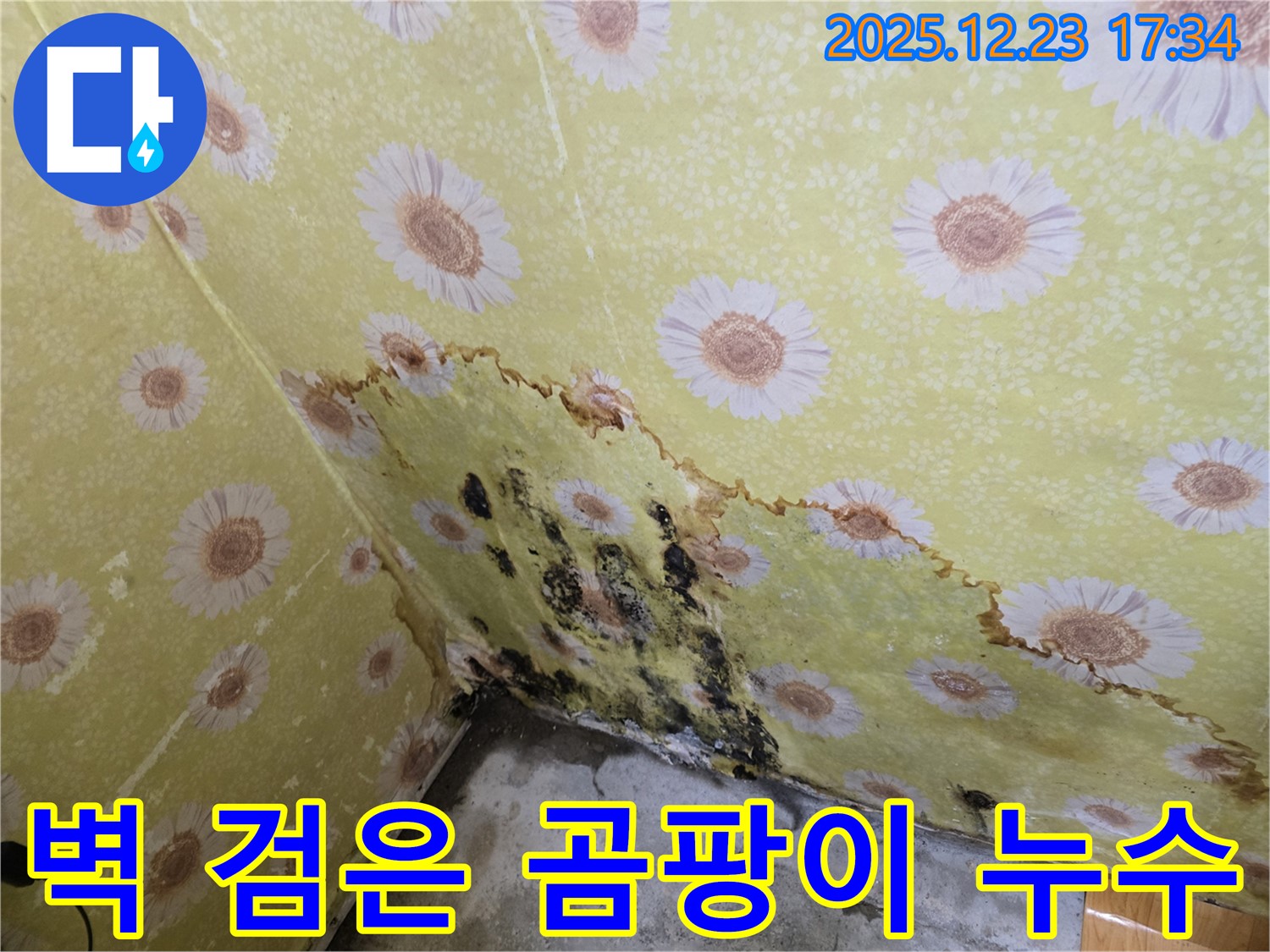 동두천 생연동 벽 검은 곰팡이 누수 - 완벽 차단 시공으로 문제 해결