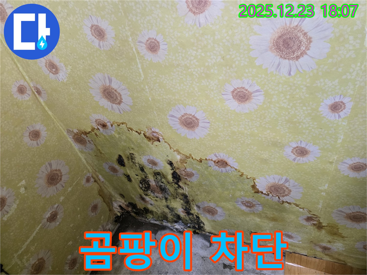 동두천 생연동 벽 누수 곰팡이 차단 - 완벽한 시공으로 곰팡이 걱정 없이 쾌적한 환경 유지.