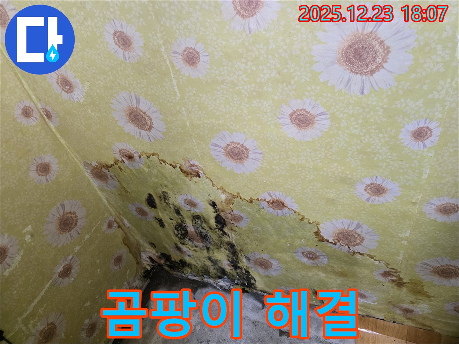 동두천 생연동 벽 누수 곰팡이 해결 - 쾌적하게 변화된 공간, 누수 해결 과정 상세 공개.