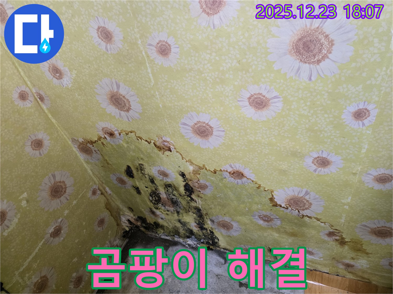 동두천 생연동 주택 벽 누수 곰팡이 해결 - 완벽한 시공으로 곰팡이 걱정 없는 쾌적한 공간 완성.