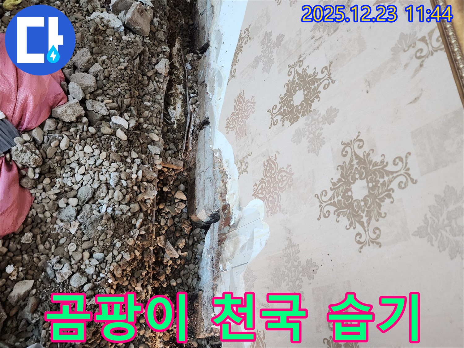 동두천 누수 - 천장 속은 곰팡이 천국! 습기와 오염이 심각합니다.