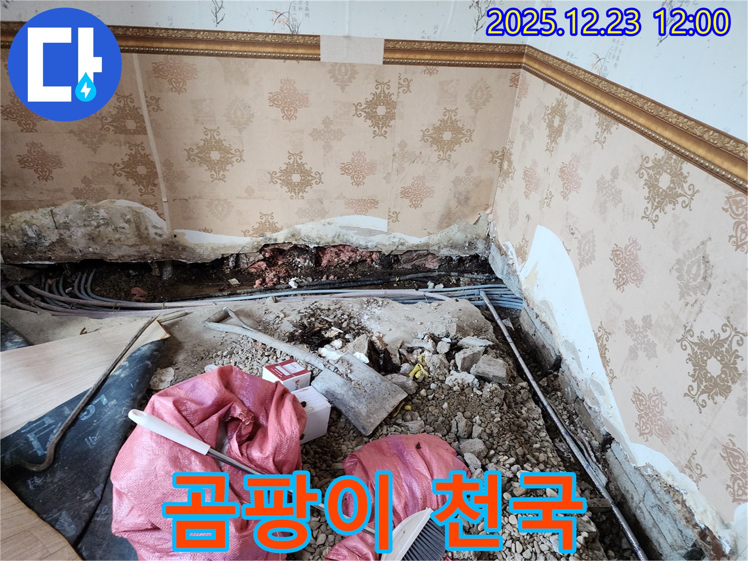 동두천 보산동 곰팡이 천국 - 누수 때문에 곰팡이가 득실득실!